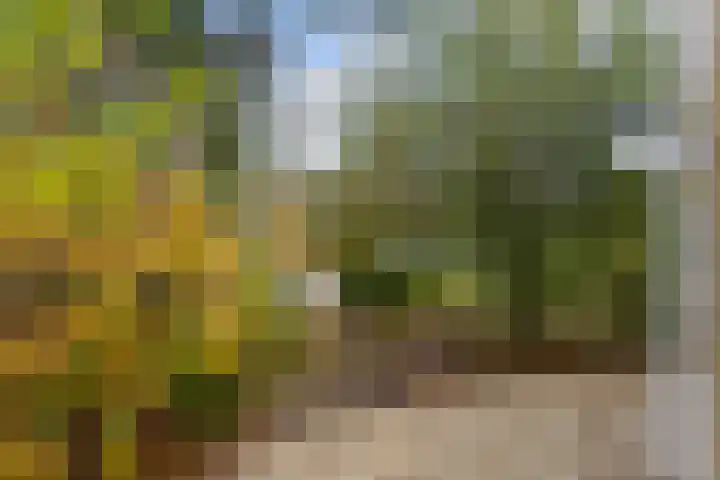 Faas Eliaslaan 47 Baarn thumbnail 27
