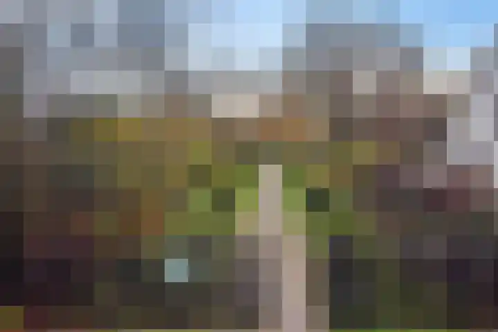 Faas Eliaslaan 47 Baarn thumbnail 29