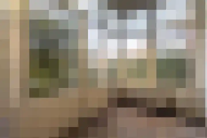Faas Eliaslaan 47 Baarn thumbnail 9