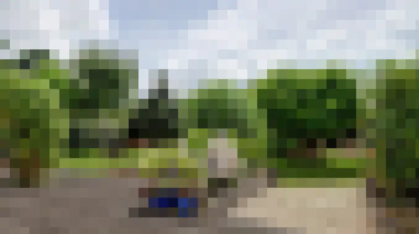 Faas Eliaslaan 55 Baarn thumbnail 29