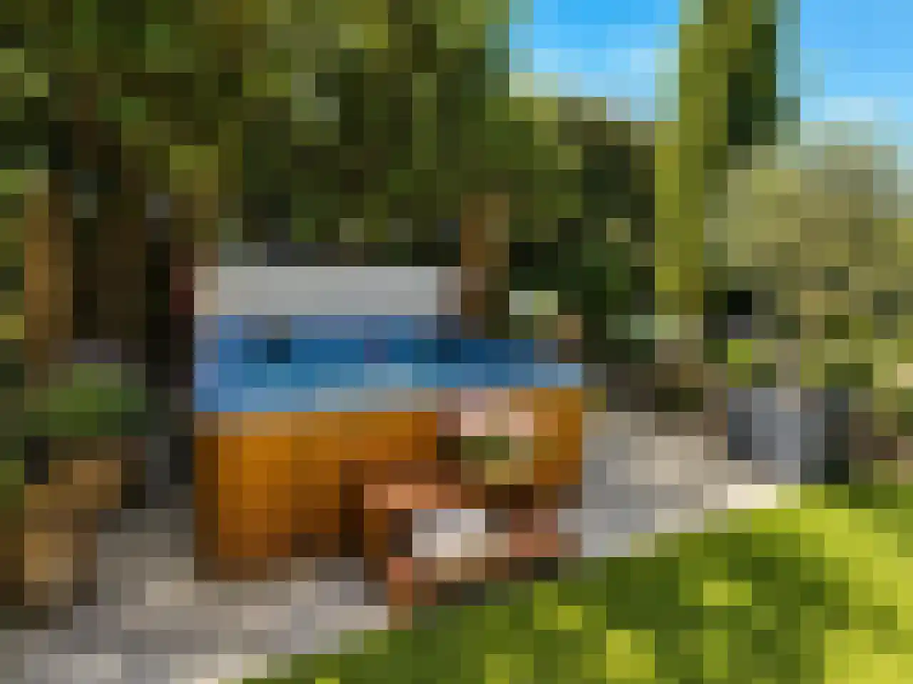 Faas Eliaslaan 55 Baarn thumbnail 31