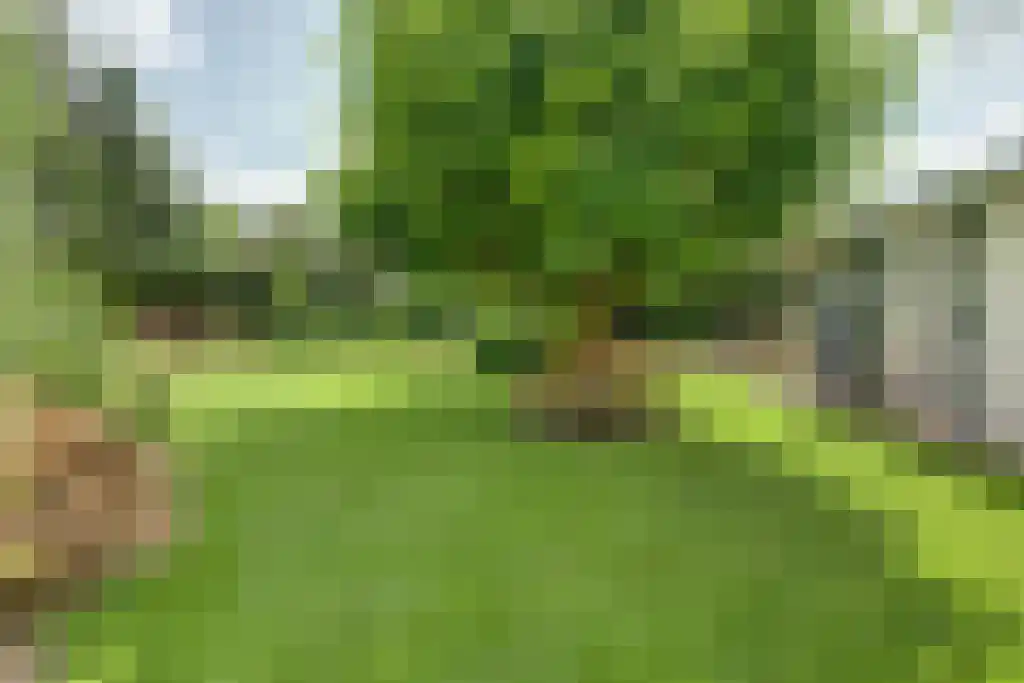 Faas Eliaslaan 55 Baarn thumbnail 32