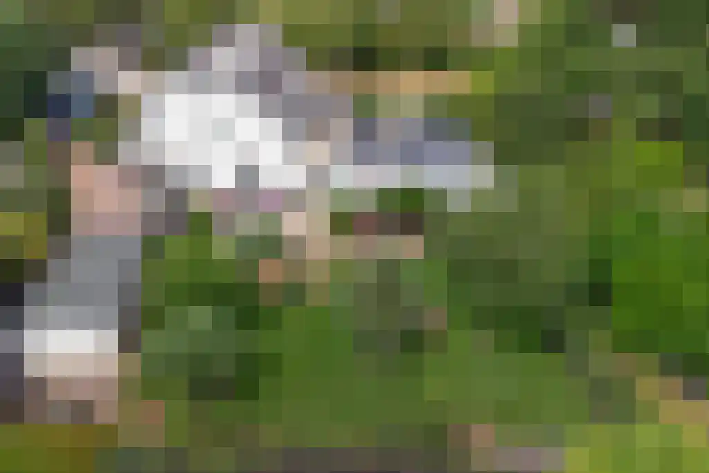 Faas Eliaslaan 55 Baarn thumbnail 35