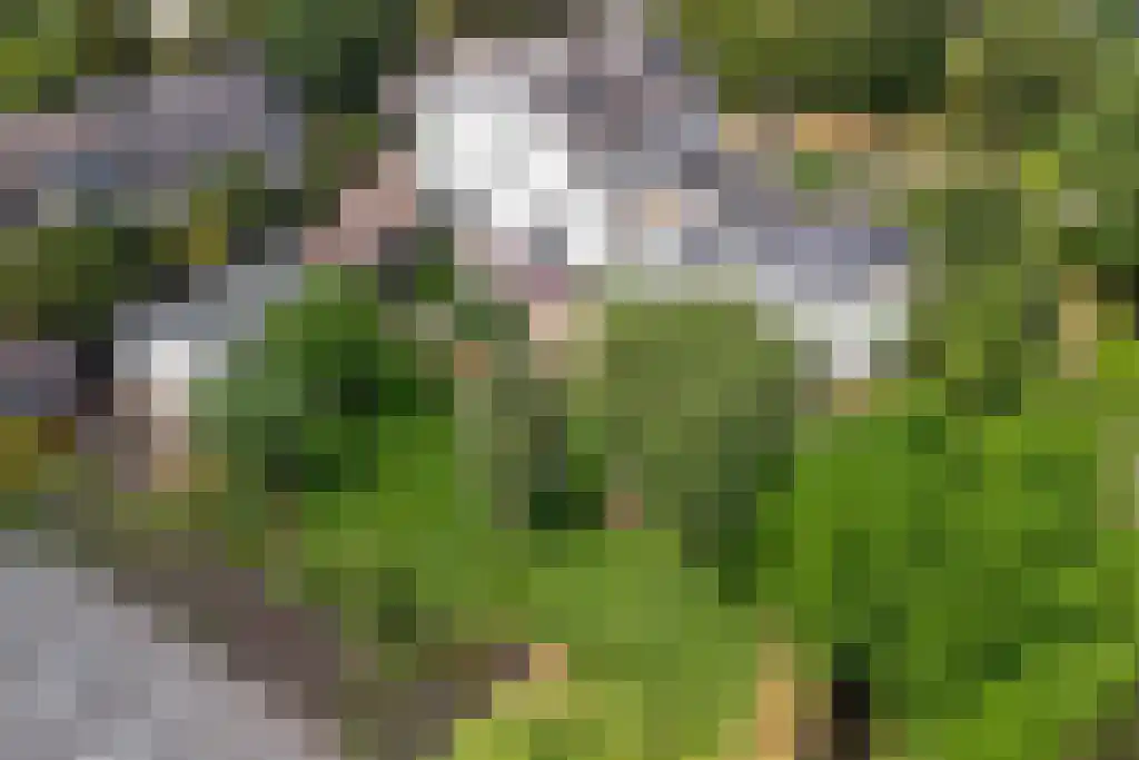 Faas Eliaslaan 55 Baarn thumbnail 36