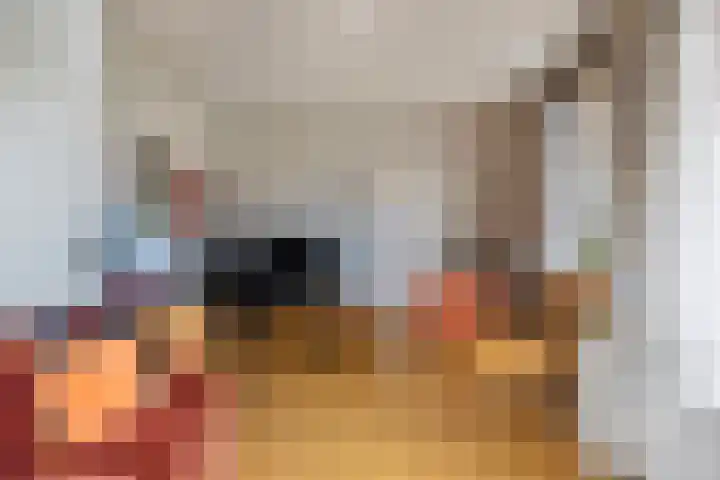 Faas Eliaslaan 6 Baarn thumbnail 17