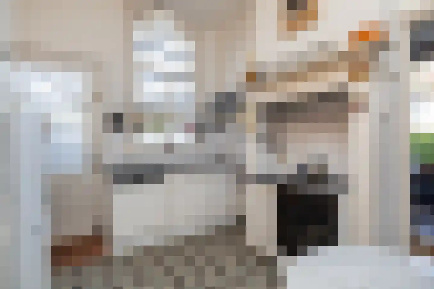 Faas Eliaslaan 6 Baarn thumbnail 22