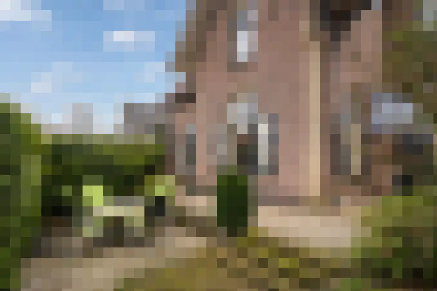 Faas Eliaslaan 6 Baarn foto 3