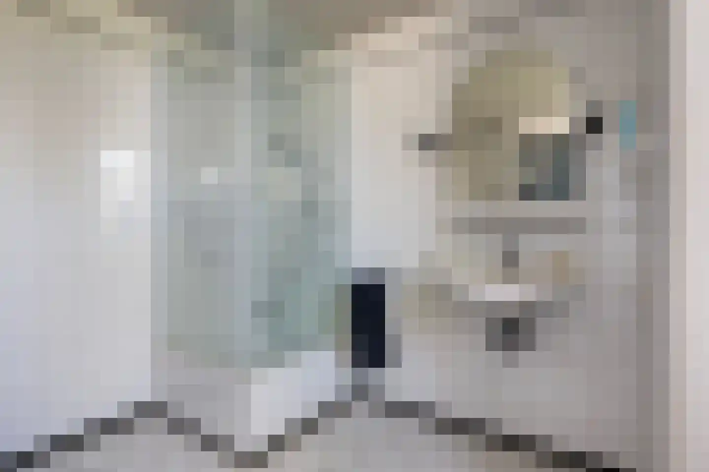 Faas Eliaslaan 6 Baarn thumbnail 30
