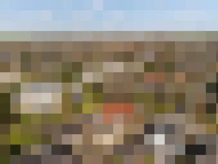 Faas Eliaslaan 6 Baarn thumbnail 33