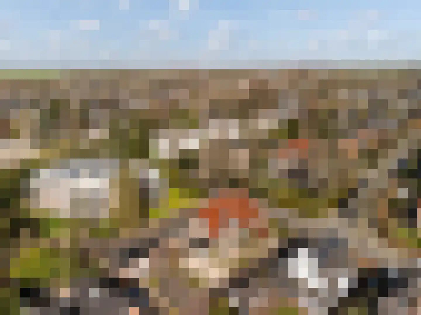 Faas Eliaslaan 6 Baarn thumbnail 33