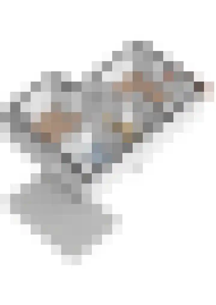 Faas Eliaslaan 6 Baarn thumbnail 39