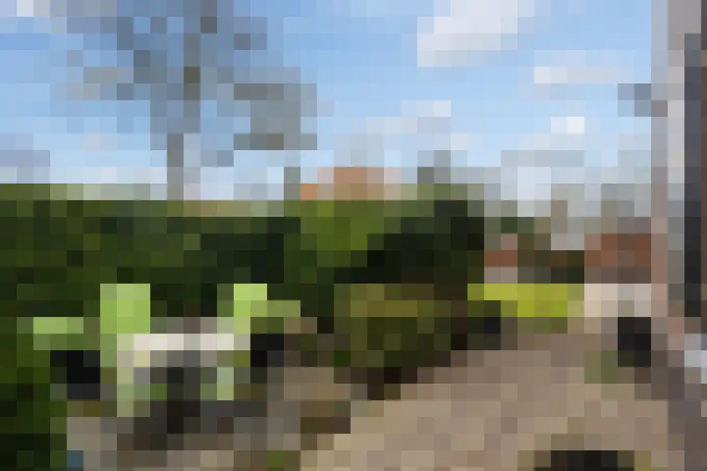 Faas Eliaslaan 6 Baarn thumbnail 4