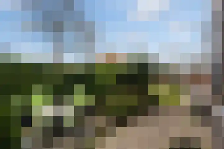 Faas Eliaslaan 6 Baarn thumbnail 4