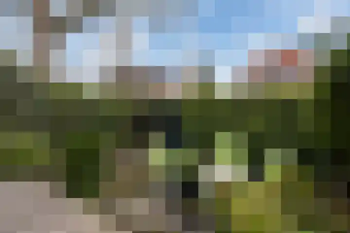 Faas Eliaslaan 6 Baarn thumbnail 5