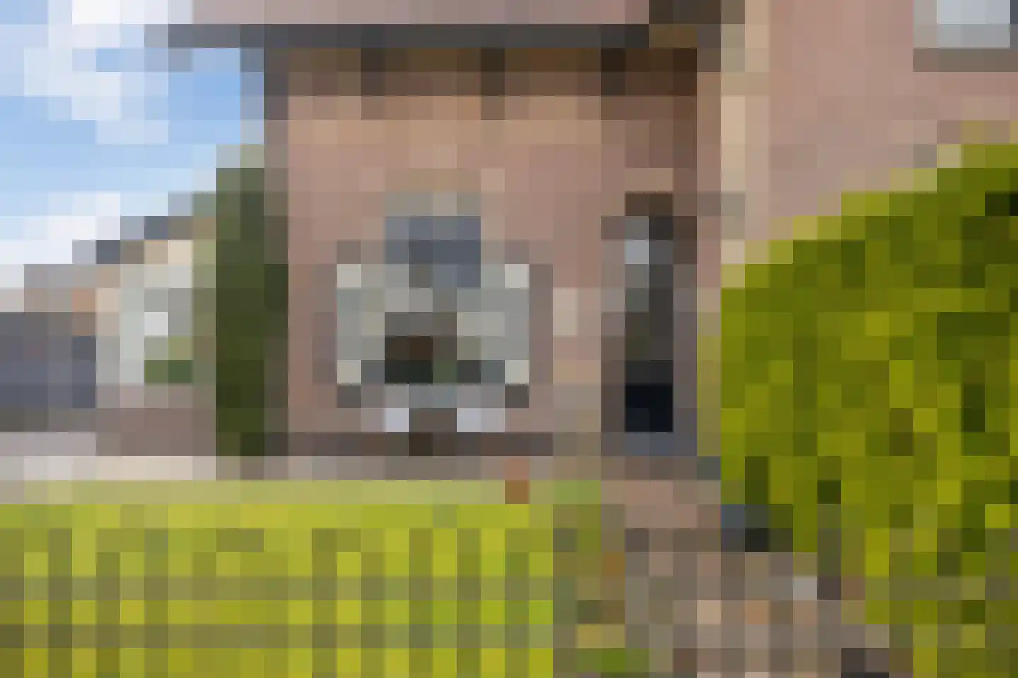Faas Eliaslaan 6 Baarn thumbnail 7