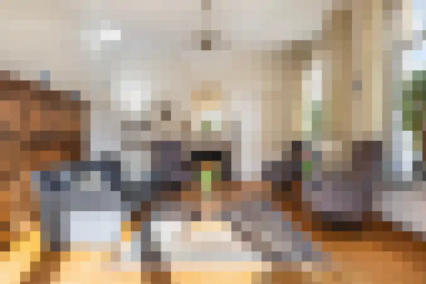 Faas Eliaslaan 8 Baarn thumbnail 10