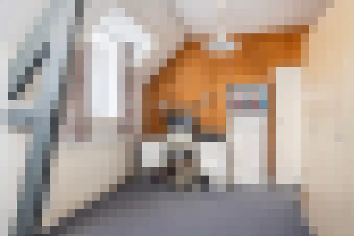 Faas Eliaslaan 8 Baarn thumbnail 21