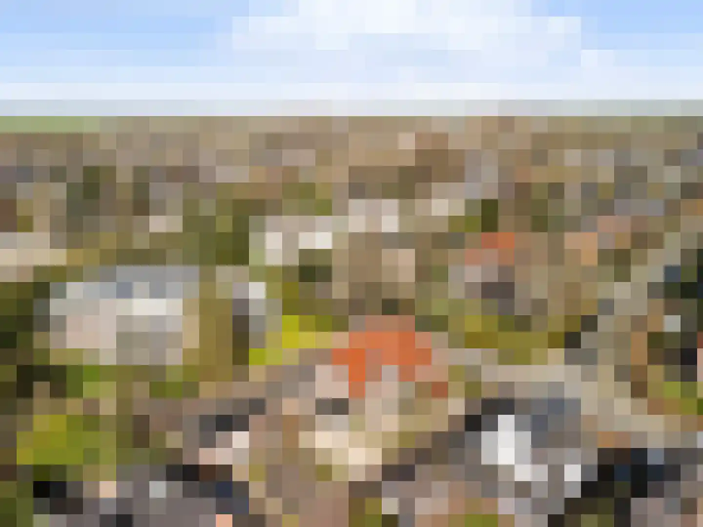 Faas Eliaslaan 8 Baarn thumbnail 29