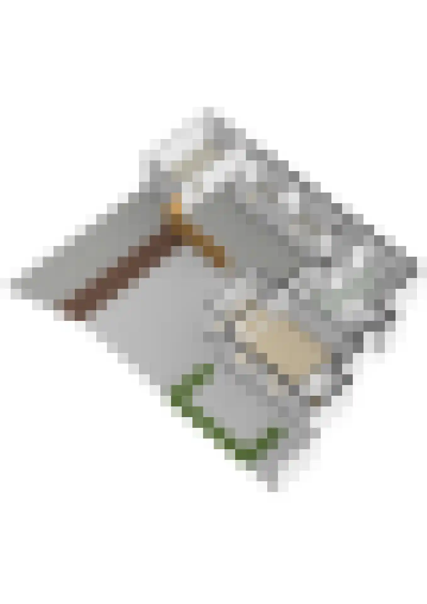 Faas Eliaslaan 8 Baarn thumbnail 39