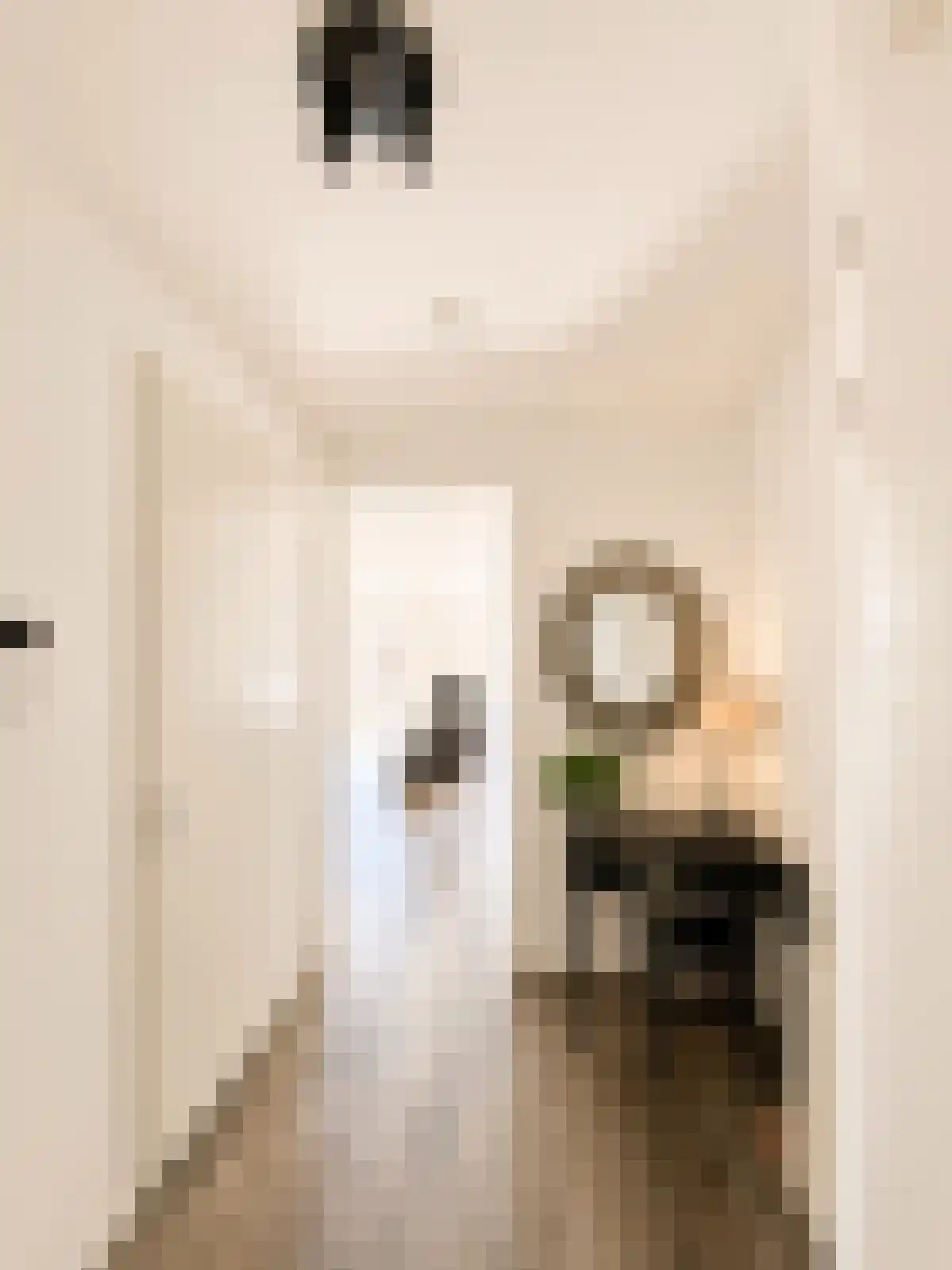 Faas Wilkesstraat 113 F Amsterdam thumbnail 5