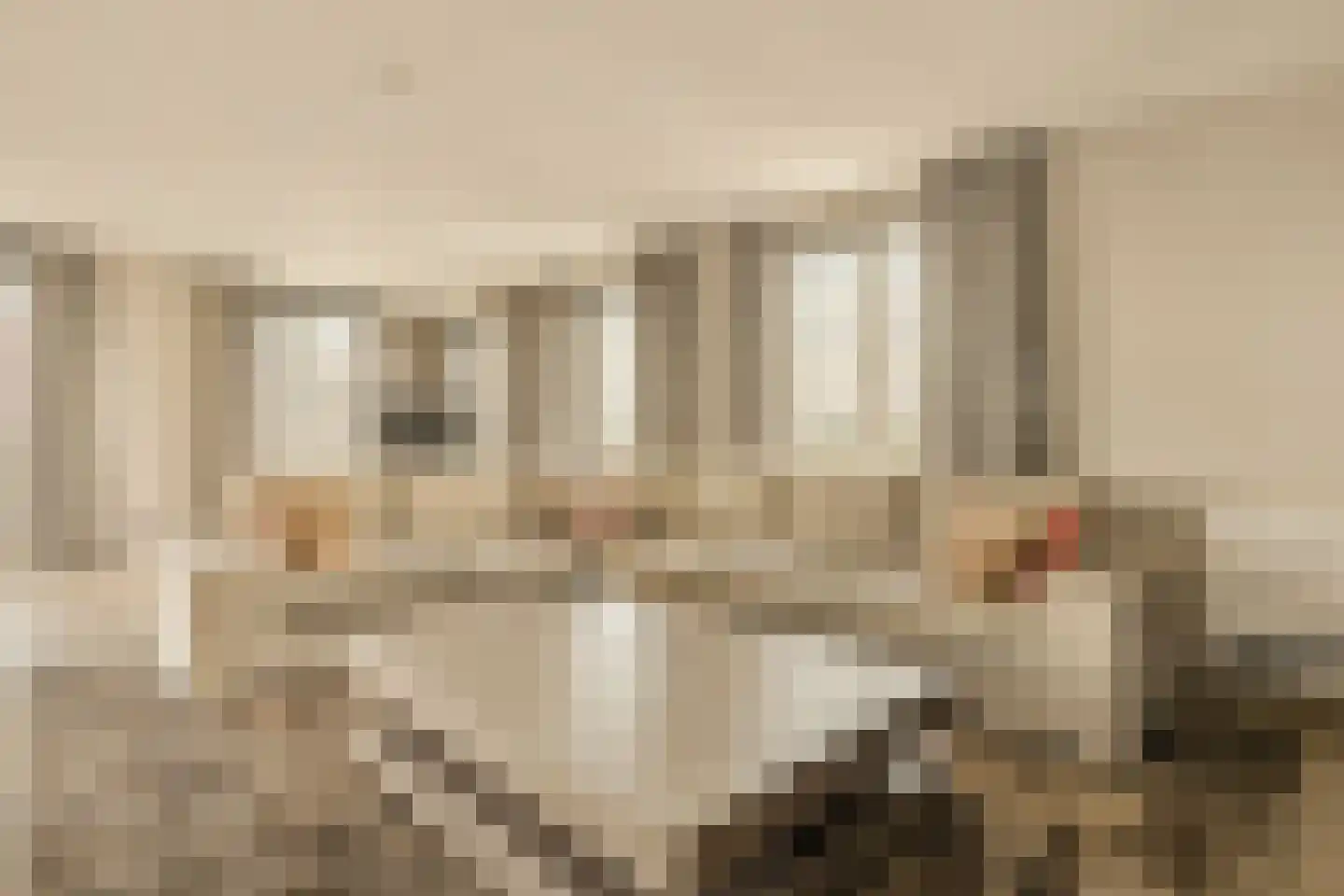 Faas Wilkesstraat 121 A Amsterdam thumbnail 6