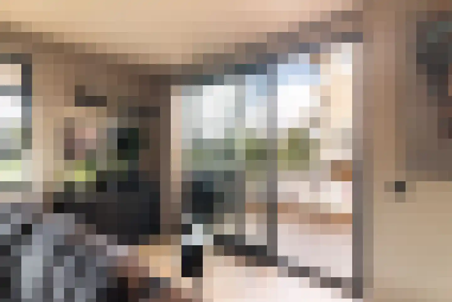 Faas Wilkesstraat 219 Amsterdam thumbnail 16