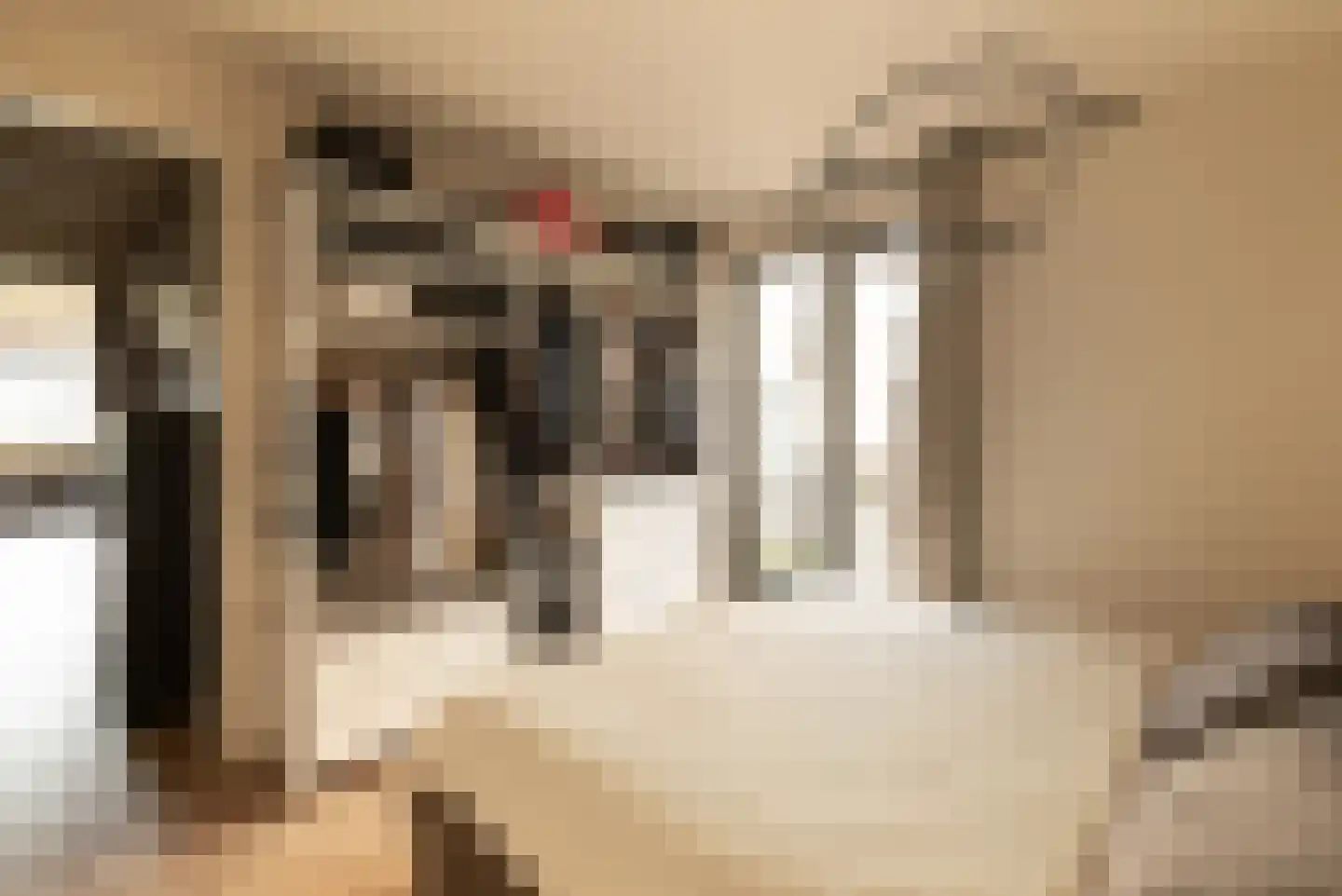 Faas Wilkesstraat 219 Amsterdam thumbnail 27
