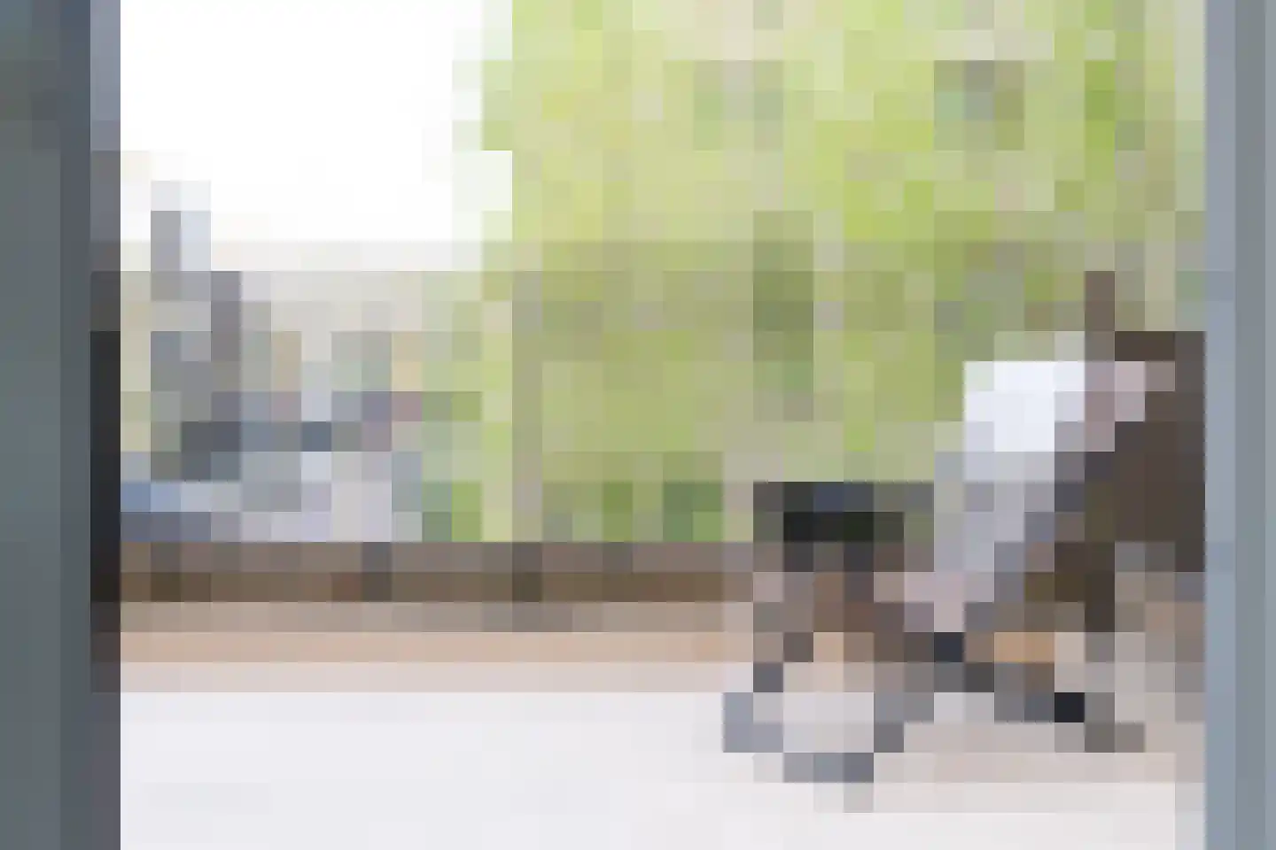 Faas Wilkesstraat 223 Amsterdam thumbnail 17