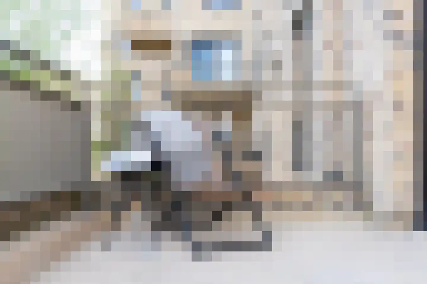 Faas Wilkesstraat 223 Amsterdam thumbnail 18