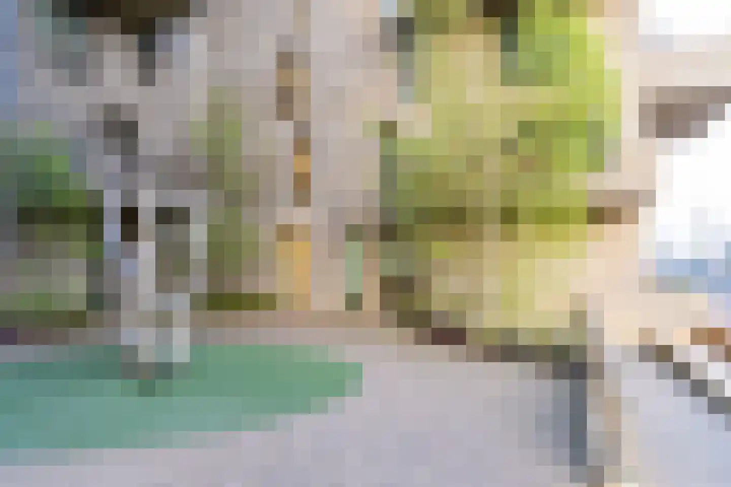 Faas Wilkesstraat 223 Amsterdam thumbnail 38