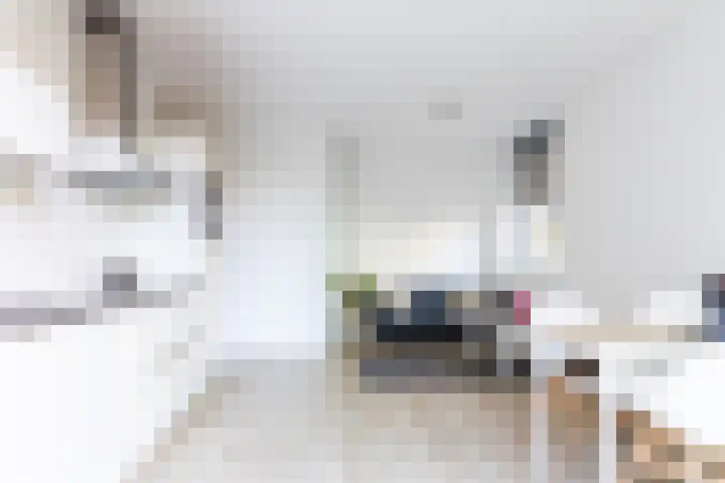 Faas Wilkesstraat 223 Amsterdam thumbnail 7