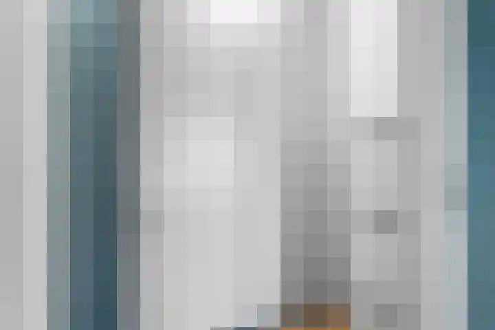 Faas Wilkesstraat 249 Amsterdam thumbnail 25