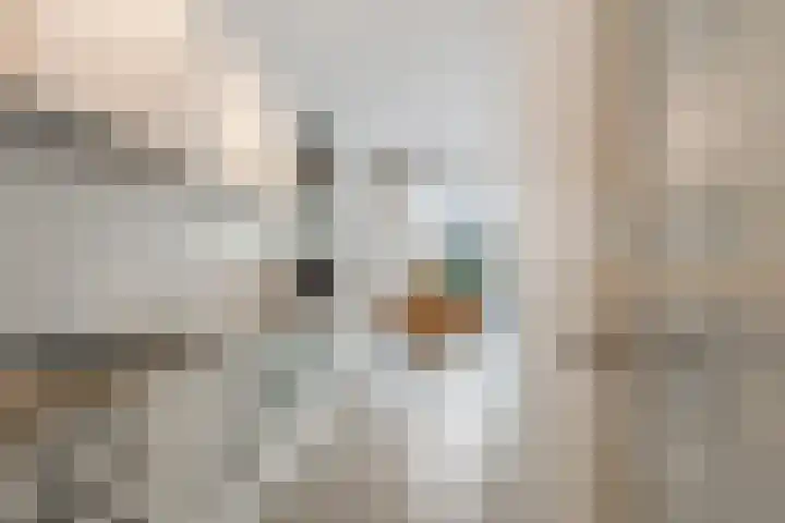 Faas Wilkesstraat 287 Amsterdam thumbnail 5