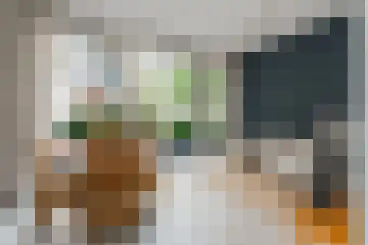 Faas Wilkesstraat 287 Amsterdam thumbnail 6