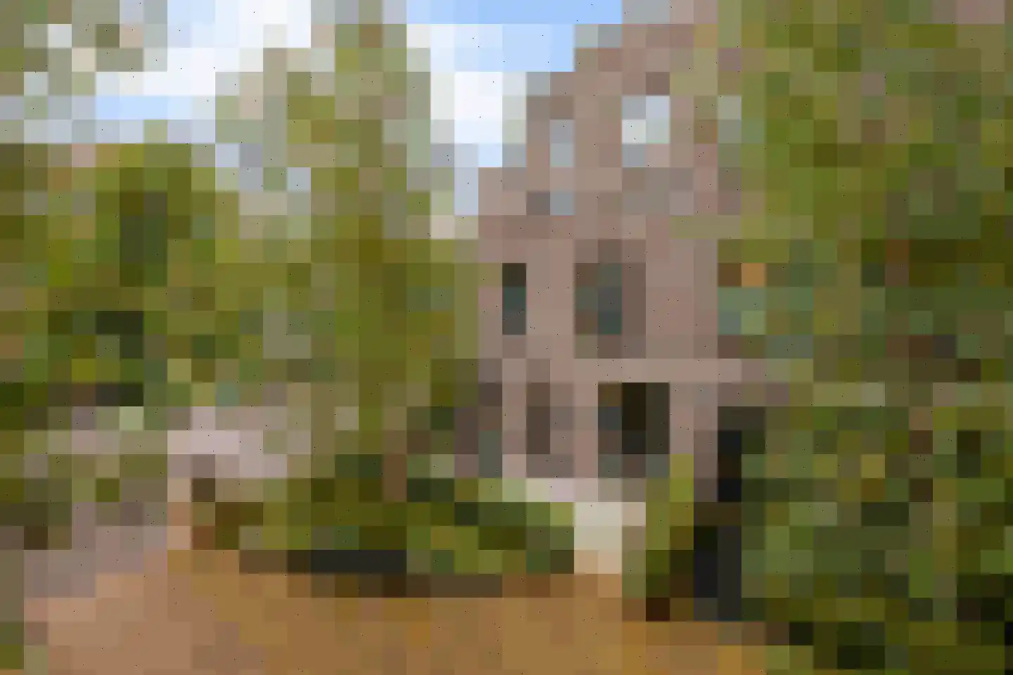 Faas Wilkesstraat 311 Amsterdam thumbnail 10