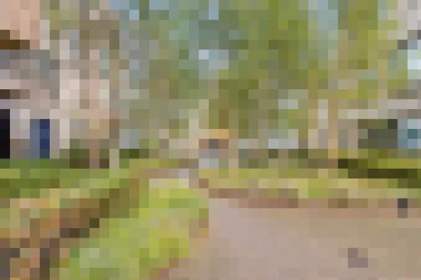 Faas Wilkesstraat 311 Amsterdam thumbnail 11
