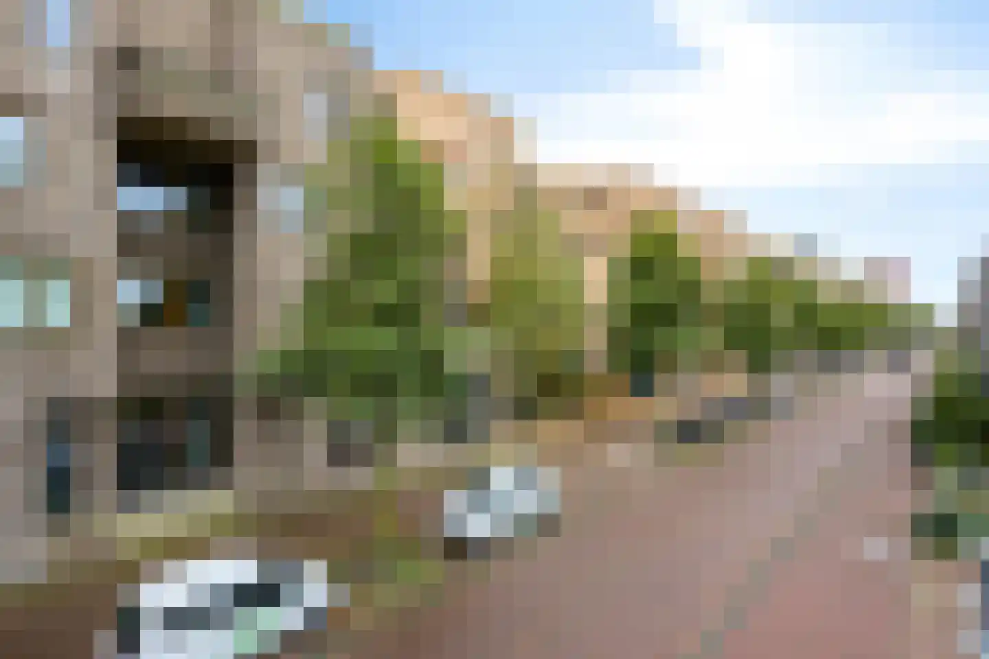 Faas Wilkesstraat 311 Amsterdam thumbnail 12
