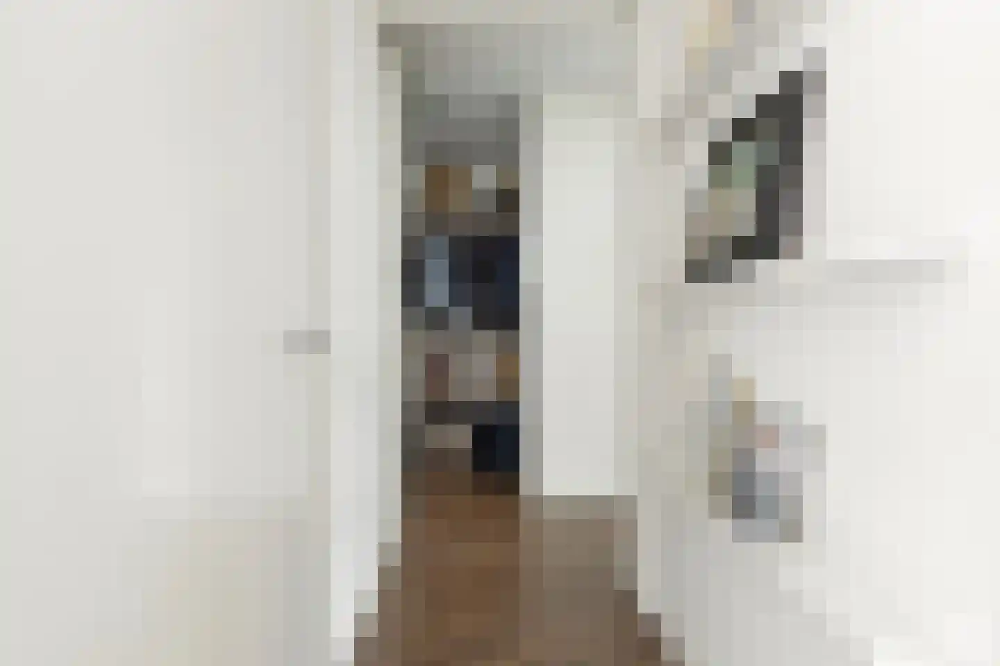 Faas Wilkesstraat 311 Amsterdam thumbnail 20