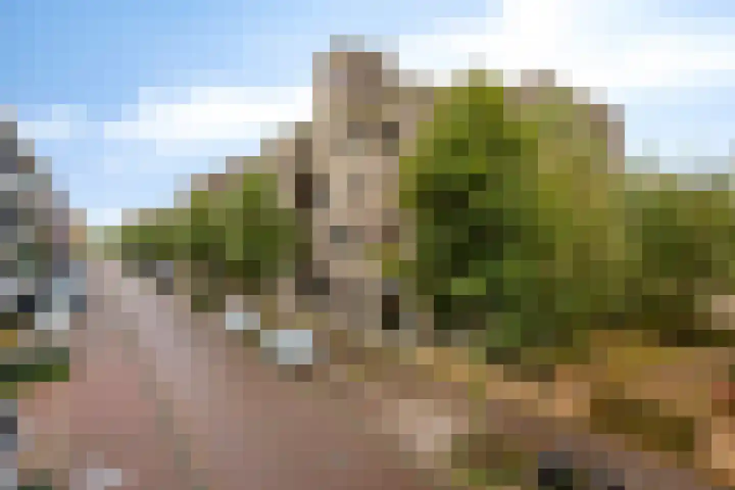 Faas Wilkesstraat 311 Amsterdam thumbnail 38