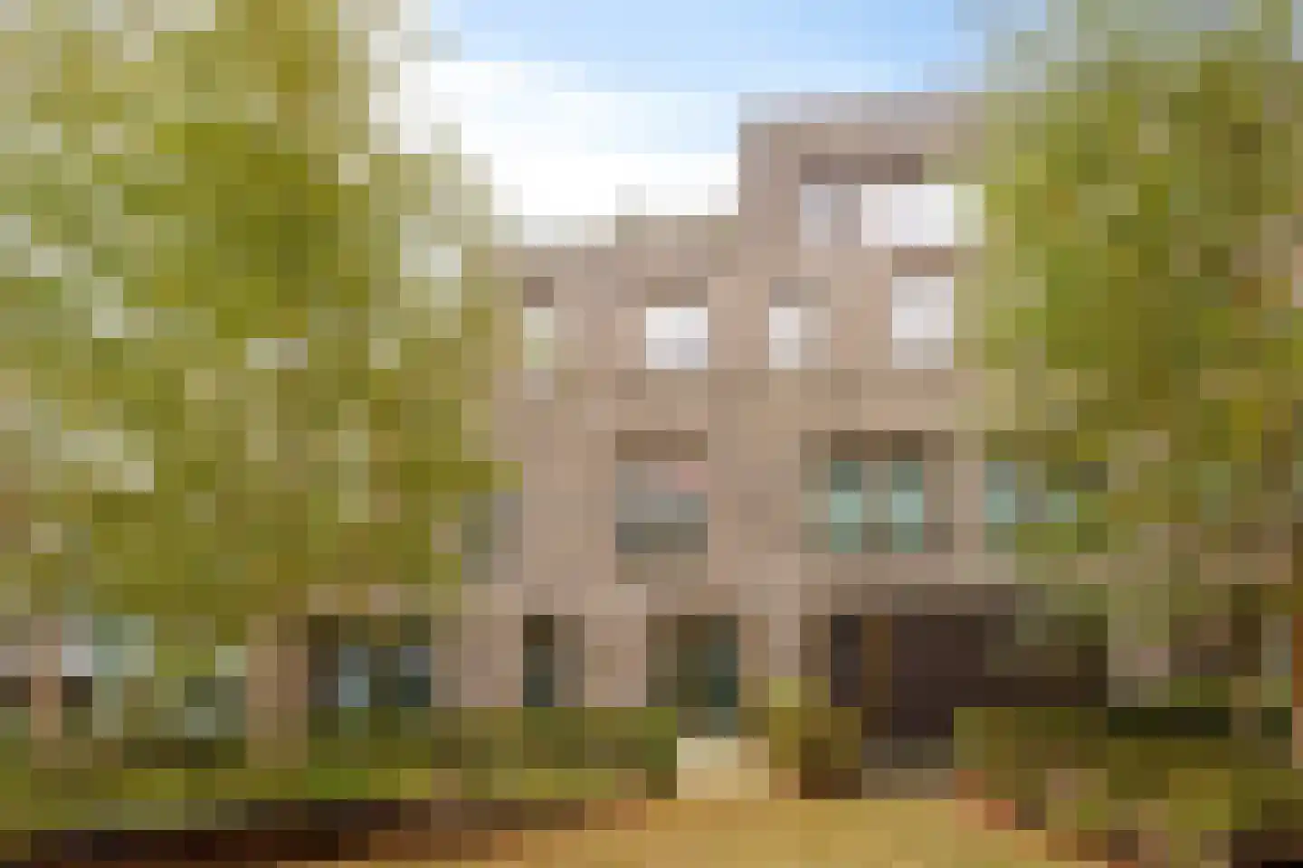 Faas Wilkesstraat 311 Amsterdam thumbnail 42