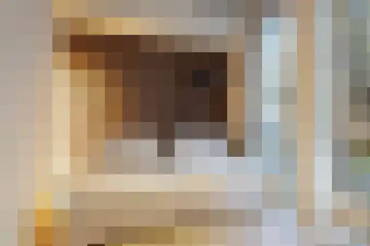 Faas Wilkesstraat 319 Amsterdam thumbnail 21