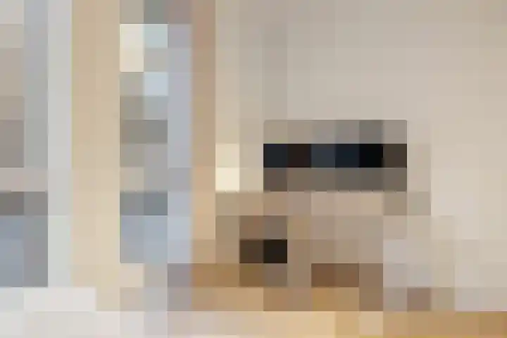 Faas Wilkesstraat 319 Amsterdam thumbnail 22