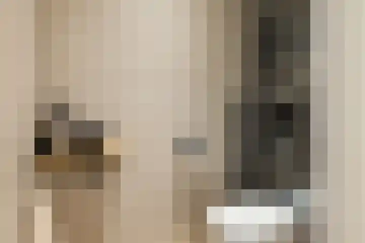 Faas Wilkesstraat 319 Amsterdam thumbnail 31