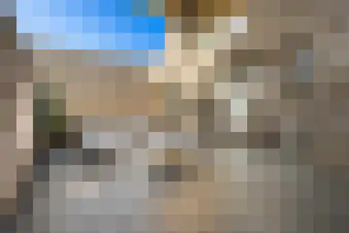 Faas Wilkesstraat 319 Amsterdam thumbnail 36