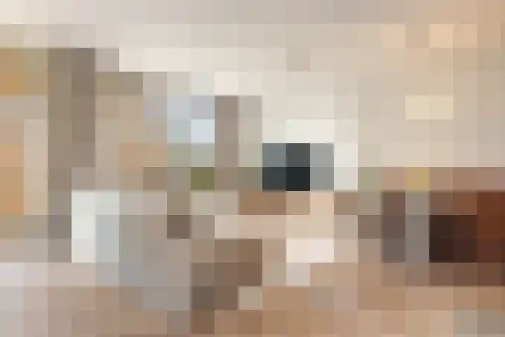 Faas Wilkesstraat 319 Amsterdam thumbnail 7