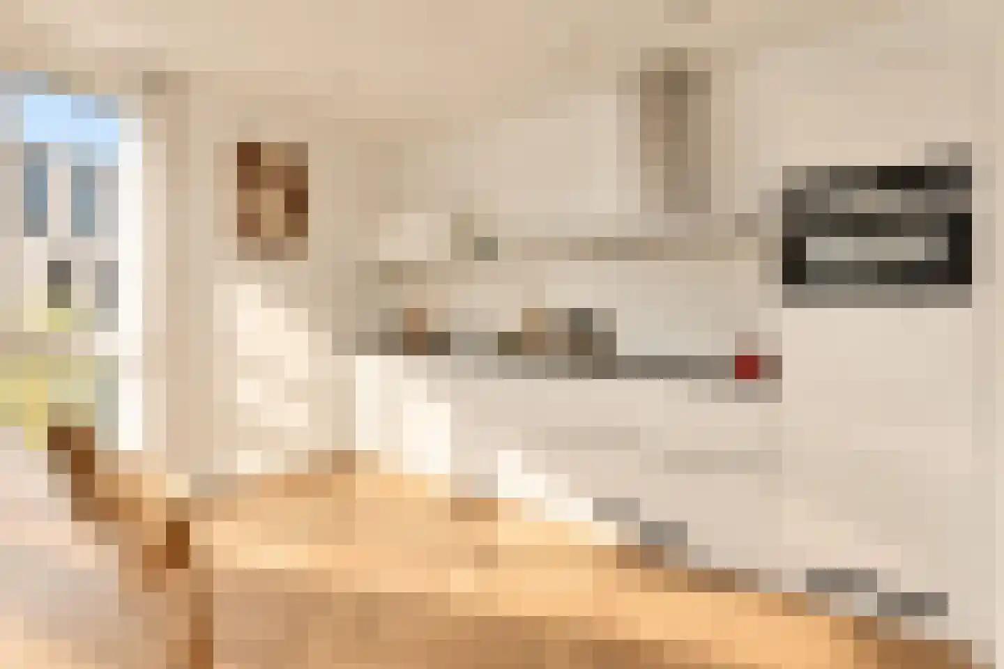 Faas Wilkesstraat 333 Amsterdam thumbnail 11