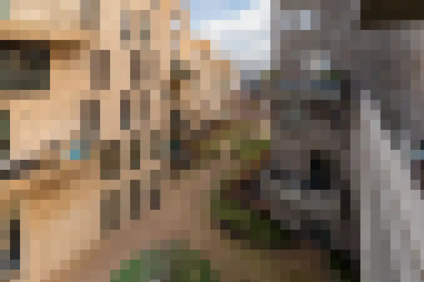 Faas Wilkesstraat 333 Amsterdam thumbnail 21