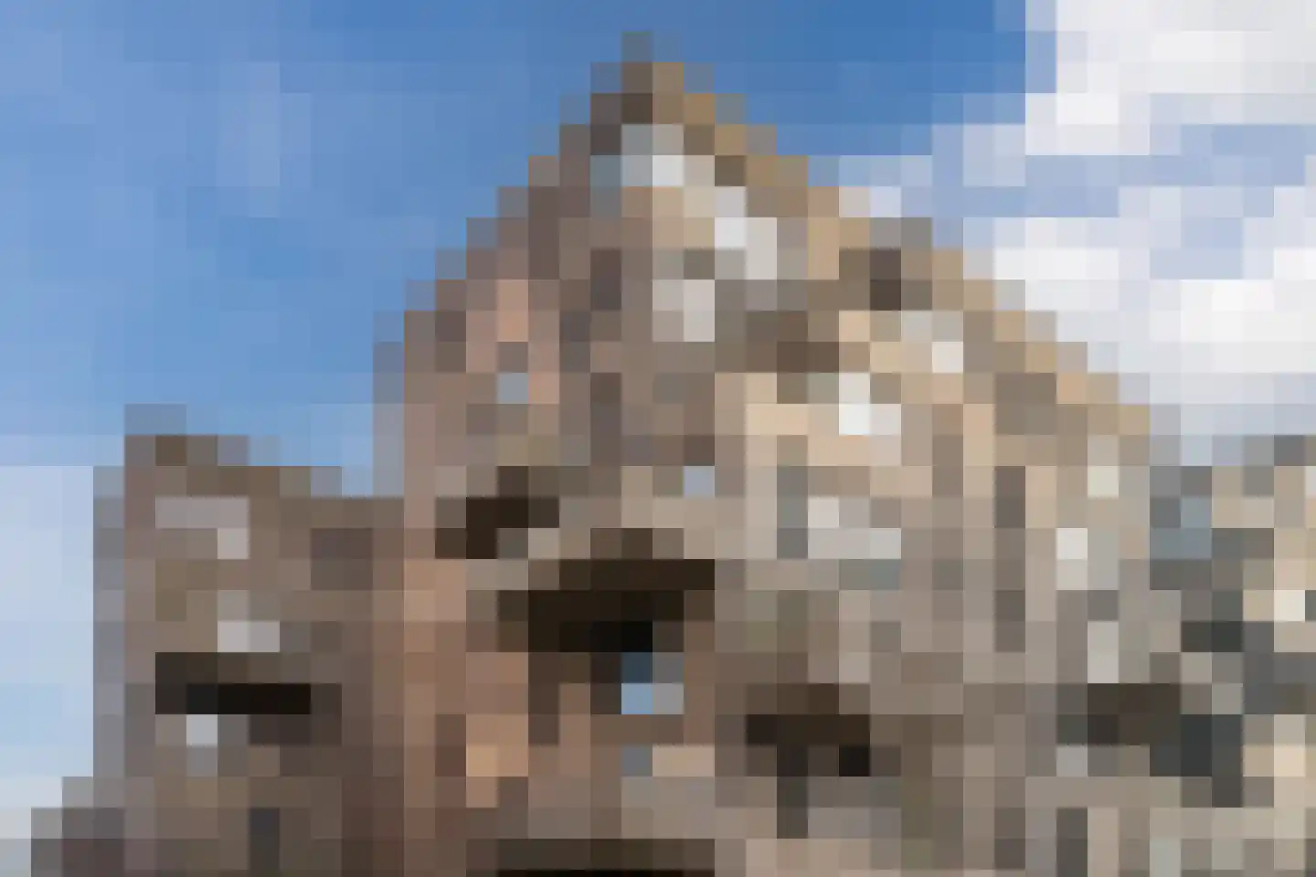 Faas Wilkesstraat 333 Amsterdam thumbnail 34