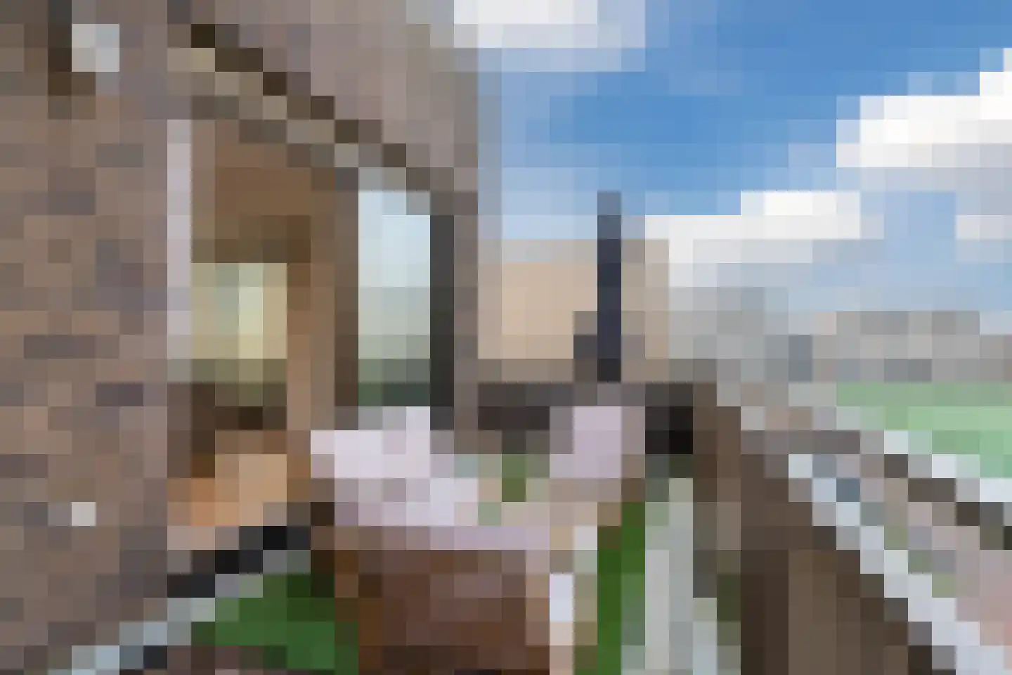 Faas Wilkesstraat 333 Amsterdam thumbnail 4