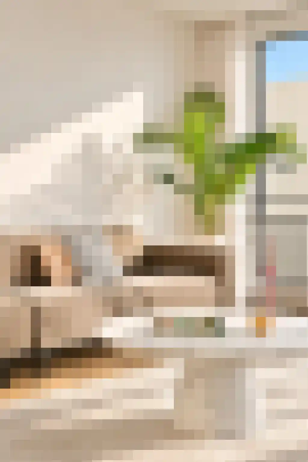 Faas Wilkesstraat 333 Amsterdam thumbnail 8